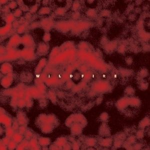 Wildfire (Single)