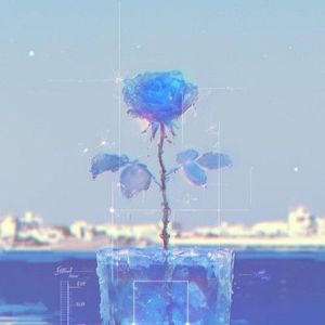 A Mirror Made of Water