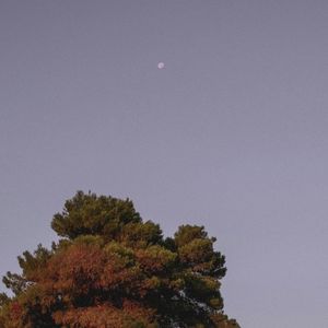 should i stay (Single)