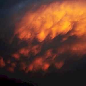 absent elsewhere (Single)