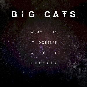 What If It Doesn't Get Better?