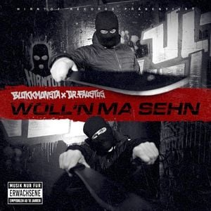 Woll'n ma sehn (Single)