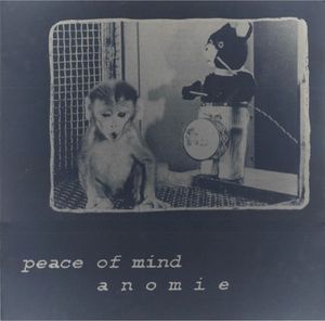 Peace Of Mind & Anomie