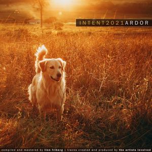 INTENT2021: Ardor
