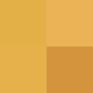 #!/for/frie