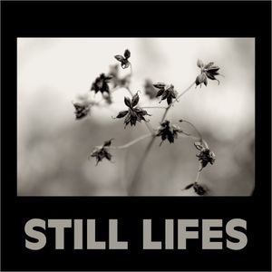 still lifes