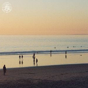 vibe catcher (Single)