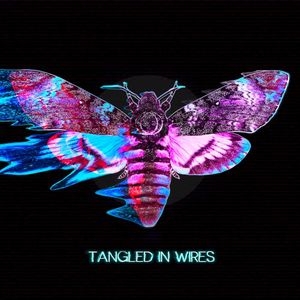 Tangled in Wires (Single)