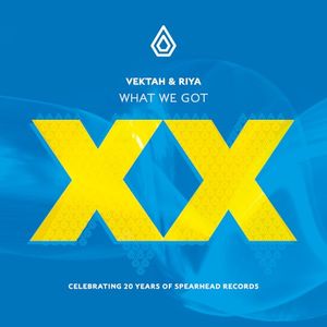 What We Got (Single)