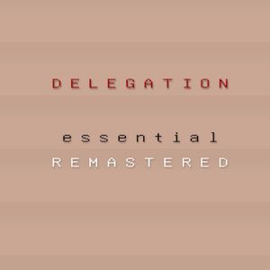 Delegation Essential