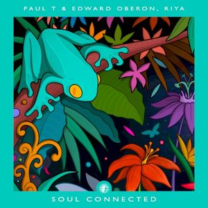 Soul Connected (Single)