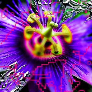 Come Come (Single)