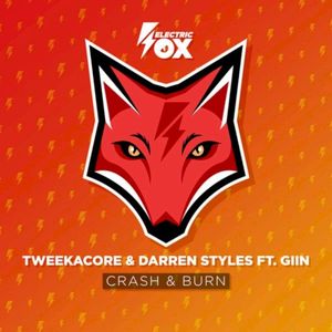 Crash & Burn (Single)