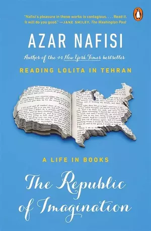 The Republic of Imagination