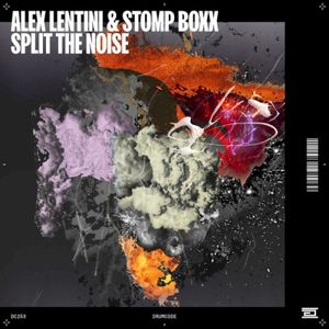 Split the Noise (EP)