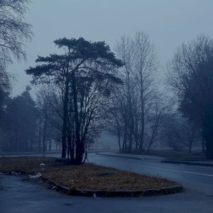 still in memory (Single)