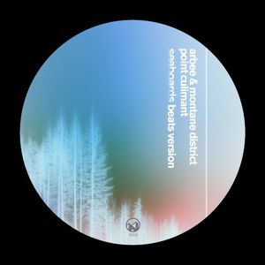 Point Culminant (Seaboards Beats version) (Single)