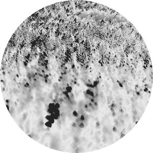 Noctilucent (EP)