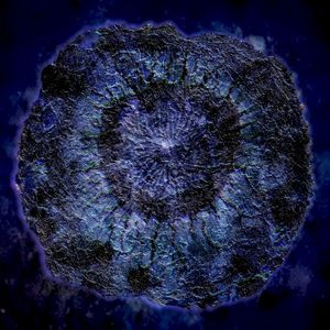 Decaying of Interstellar Extremophile (EP)