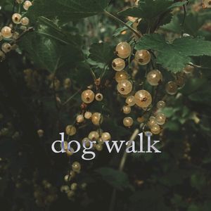 Dog Walk