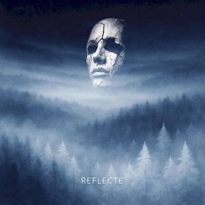 Reflecte
