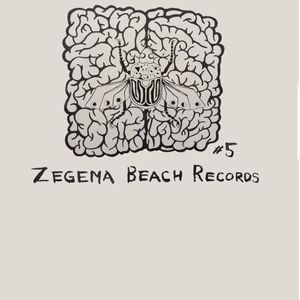 ZAMPLER #5 - To Fight the Bug, We Must Understand the Bug