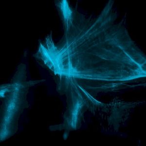 Chimera (Single)