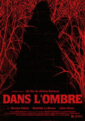 Dans l'ombre