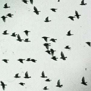 You and Only You (Single)