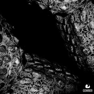 Gabbers on Acid (EP)