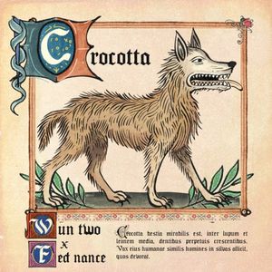 crocotta (Single)