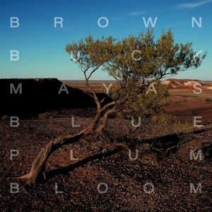 Blue Plum Bloom (Live)