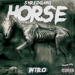 Intro (Single)