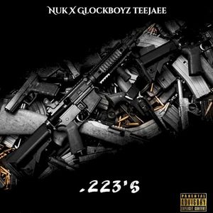 .223's (Single)