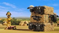 Bitzer's Bale Out