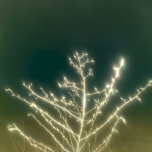 AKYRA (EP)