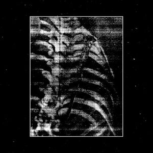 Falling Short (Single)