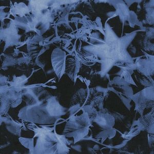 Hole (Single)