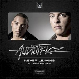 Never Leaving (Single)