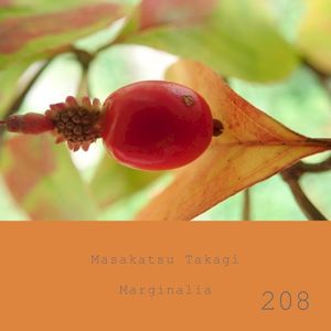 Marginalia #208 (Single)