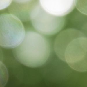 Is This Reality? (Single)