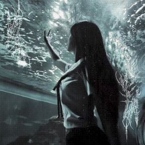 Nightfall (Single)