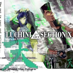 SECTION X
