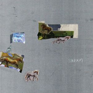 Wrong Party (Single)