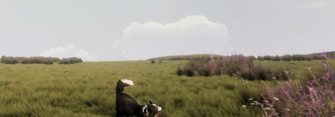 Cover The Free Shepherd