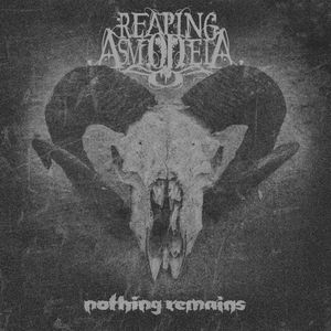 Nothing Remains (Single)