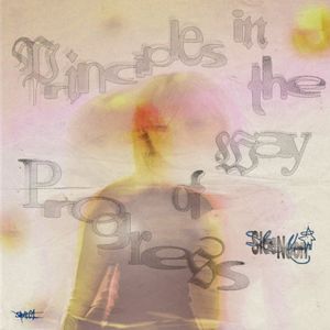 Principles In The Way of Progress (EP)
