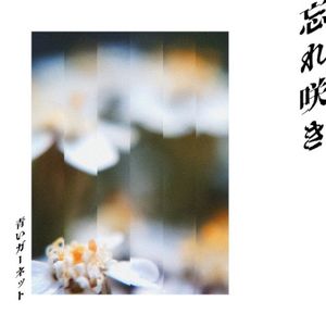 忘れ咲き (Single)