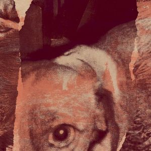 Dead Dogs (EP)