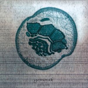 genom (Single)